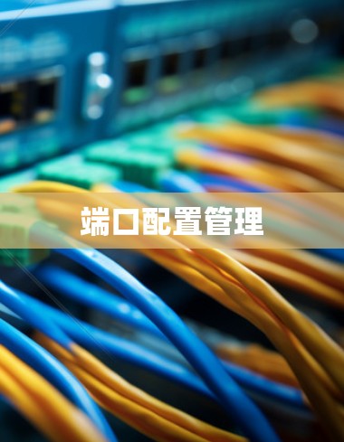 端口配置管理