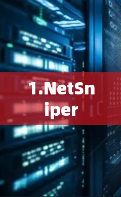 1.NetSniper 1.NetSniper
