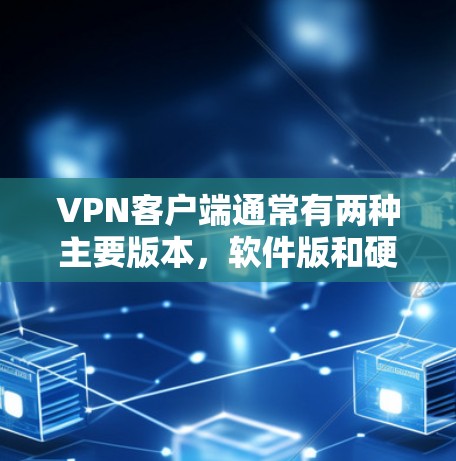 VPN客户端通常有两种主要版本，软件版和硬件版。软件版是针对电脑的，而硬件版是针对手机或平板上的设备。软件版通常更高效和易于操作，而硬件版更方便移动使用