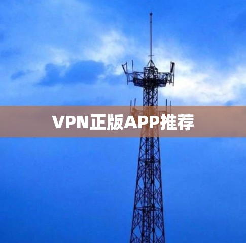 VPN正版APP推荐