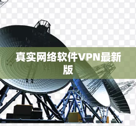 真实网络软件VPN最新版