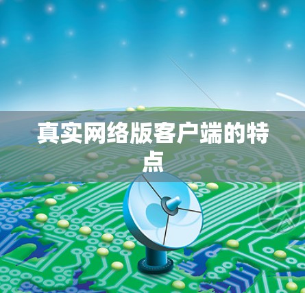真实网络版客户端的特点