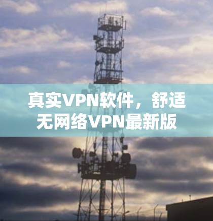 真实VPN软件,舒适无网络VPN最新版