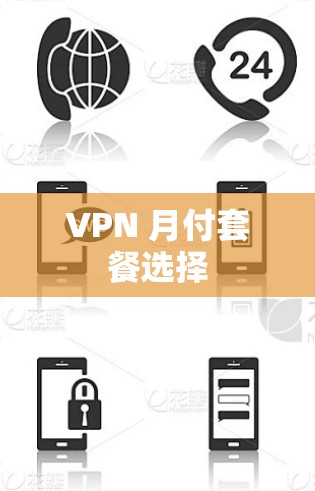 VPN 月付套餐选择