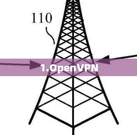 1.OpenVPN
