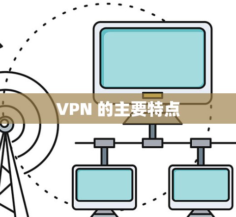 VPN 的主要特点