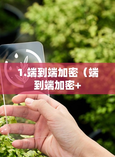 1.端到端加密（端到端加密+