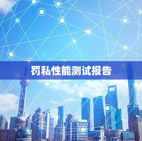 罚私性能测试报告 罚私性能测试报告
