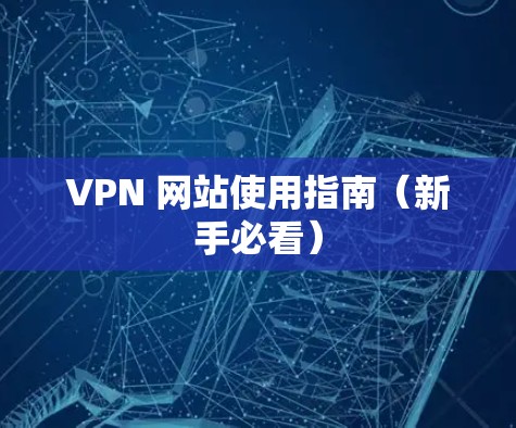 VPN 网站使用指南（新手必看）