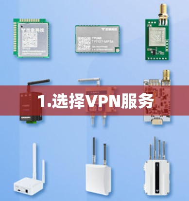 1.选择VPN服务 1.选择VPN服务