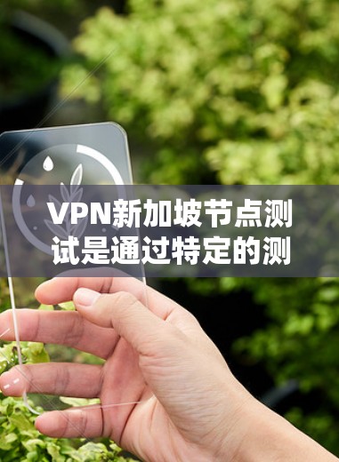 VPN新加坡节点测试是通过特定的测试方法来评估新加坡地区的VPN节点在安全性和功能上的表现。以下是详细的步骤和考虑因素 VPN新加坡节点测试是通过特定的测试方法来评估新加坡地区的VPN节点在安全性和功能上的表现。以下是详细的步骤和考虑因素