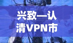 兴致—认清VPN市场格局 兴致—认清VPN市场格局