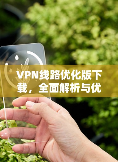 VPN线路优化版下载，全面解析与优化建议