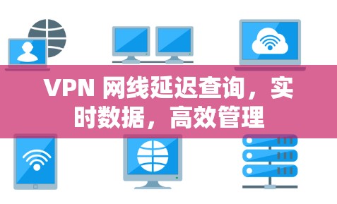 VPN 网线延迟查询，实时数据，高效管理