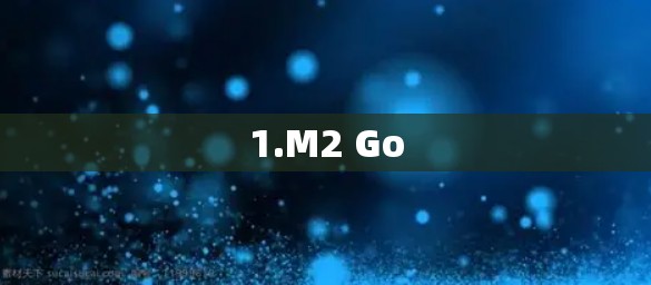 1.M2 Go 1.M2 Go