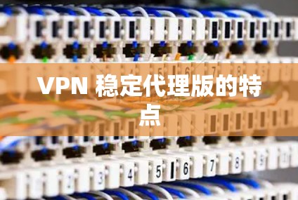 VPN 稳定代理版的特点 VPN 稳定代理版的特点