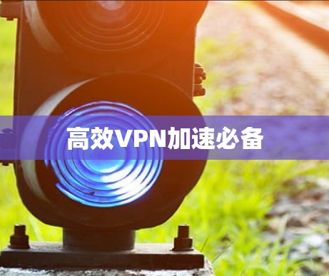 高效VPN加速必备 高效VPN加速必备