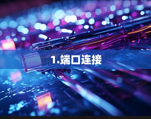 1.端口连接 1.端口连接