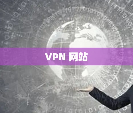 VPN 网站