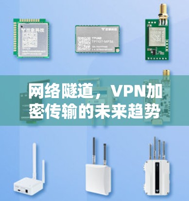网络隧道,VPN加密传输的未来趋势 网络隧道,VPN加密传输的未来趋势