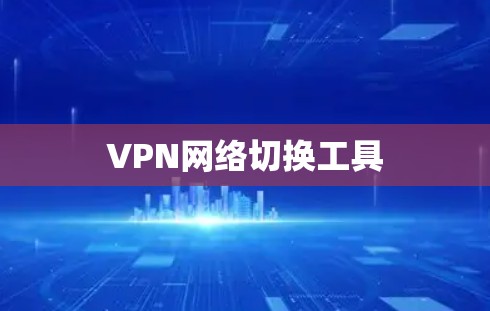 VPN网络切换工具 VPN网络切换工具