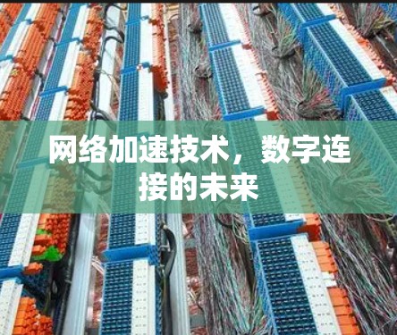 网络加速技术，数字连接的未来