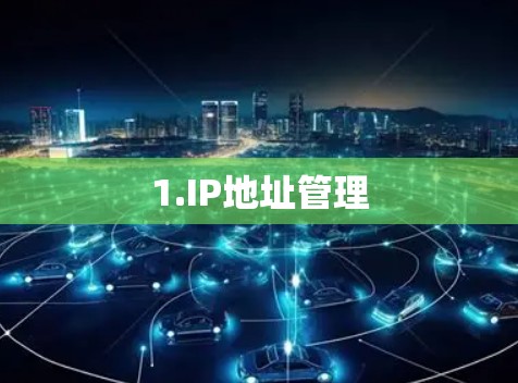 1.IP地址管理 1.IP地址管理