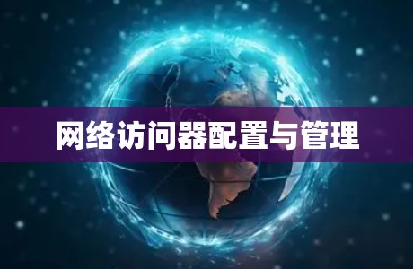 网络访问器配置与管理