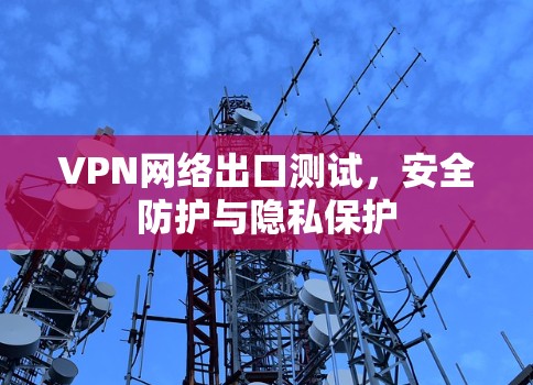 VPN网络出口测试，安全防护与隐私保护