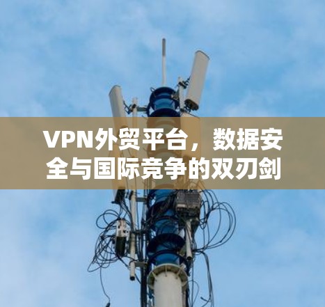 VPN外贸平台，数据安全与国际竞争的双刃剑