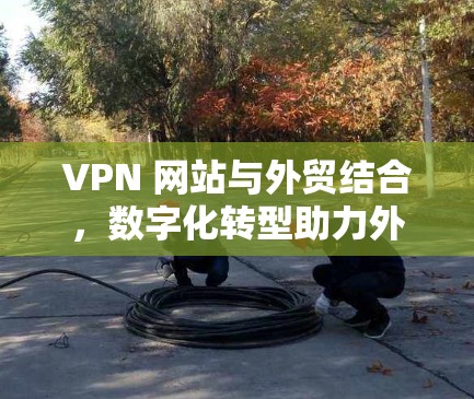 VPN 网站与外贸结合,数字化转型助力外贸增长 VPN 网站与外贸结合,数字化转型助力外贸增长