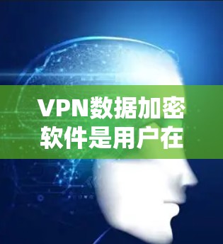 VPN数据加密软件是用户在本地安装以确保其访问的网络资源不会被截获的工具。以下是对这些软件的详细介绍 VPN数据加密软件是用户在本地安装以确保其访问的网络资源不会被截获的工具。以下是对这些软件的详细介绍