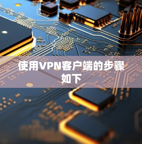使用VPN客户端的步骤如下 使用VPN客户端的步骤如下