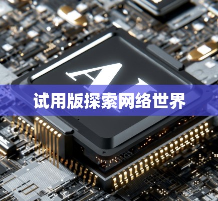 试用版探索网络世界 试用版探索网络世界
