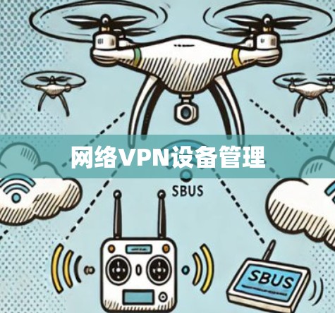 网络VPN设备管理
