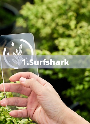 1.Surfshark 1.Surfshark