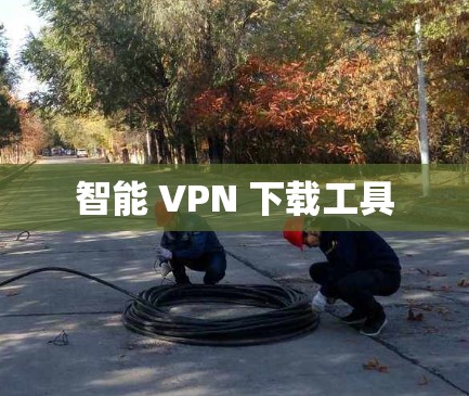 智能 VPN 下载工具