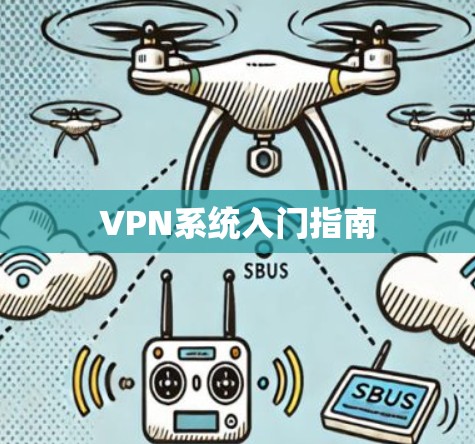 VPN系统入门指南