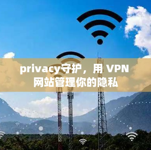privacy守护，用 VPN 网站管理你的隐私