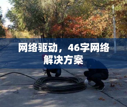网络驱动，46字网络解决方案