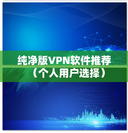 纯净版VPN软件推荐(个人用户选择) 纯净版VPN软件推荐(个人用户选择)