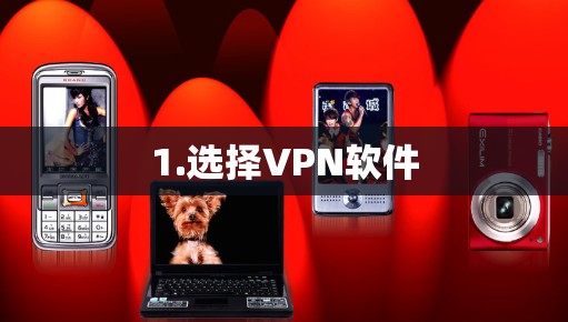 1.选择VPN软件 1.选择VPN软件