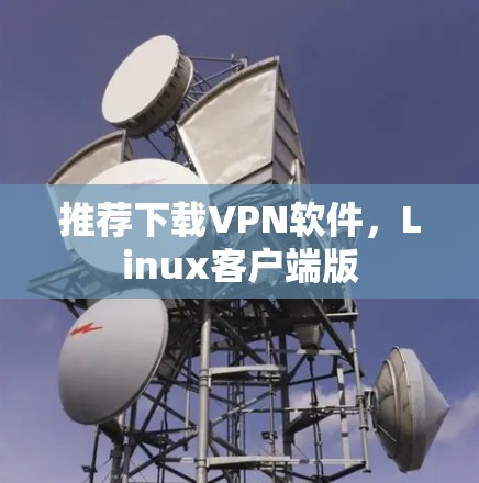 推荐下载VPN软件，Linux客户端版