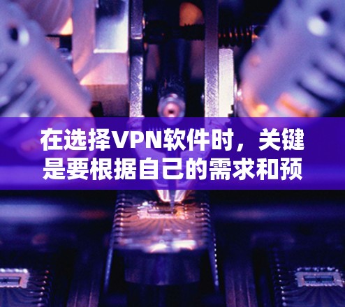 在选择VPN软件时，关键是要根据自己的需求和预算来做出选择。以下是一个结构化的推荐，帮助您根据不同的情况做出最佳选择