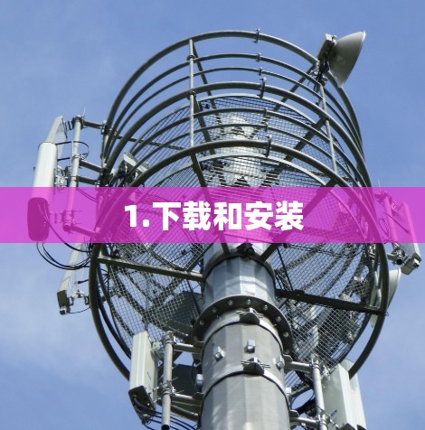 1.下载和安装
