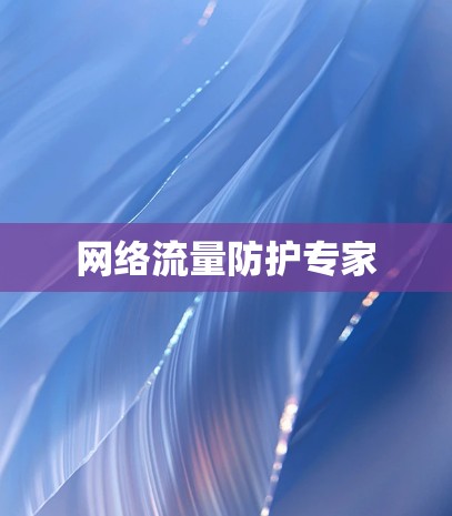 网络流量防护专家 网络流量防护专家