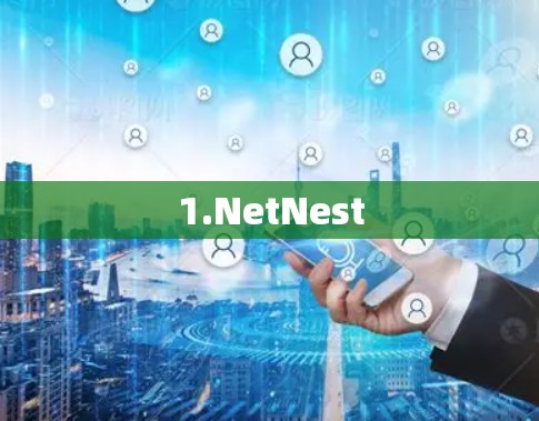 1.NetNest 1.NetNest