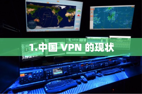 1.中国 VPN 的现状 1.中国 VPN 的现状