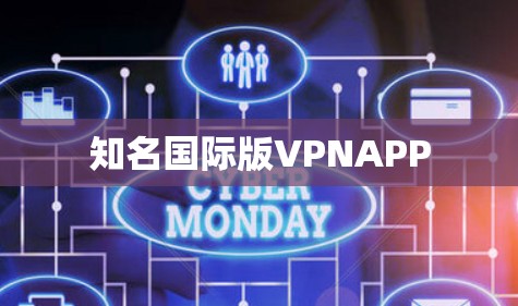 知名国际版VPNAPP 知名国际版VPNAPP