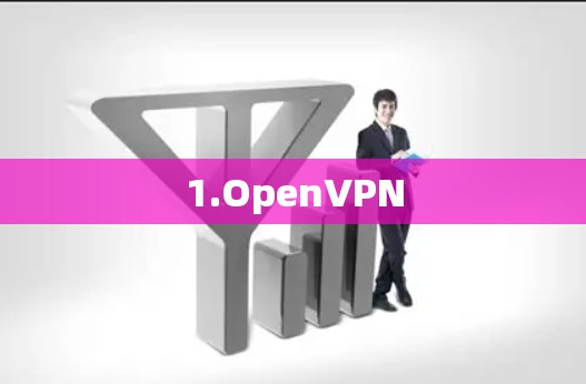 1.OpenVPN 1.OpenVPN